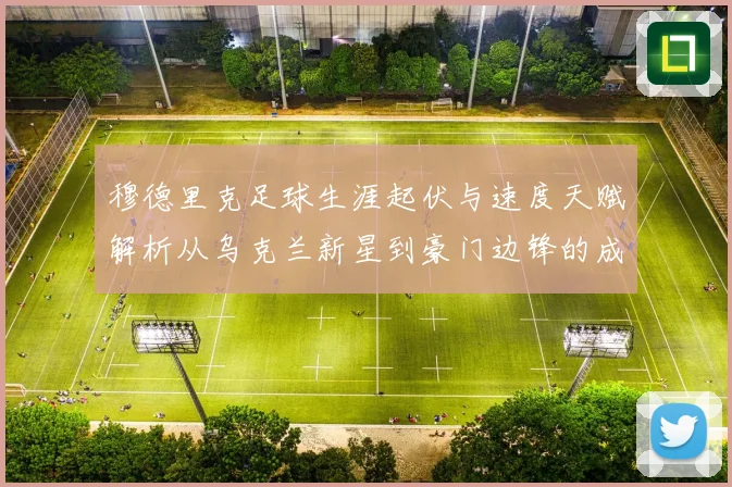 穆德里克足球生涯起伏与速度天赋解析从乌克兰新星到豪门边锋的成长之路