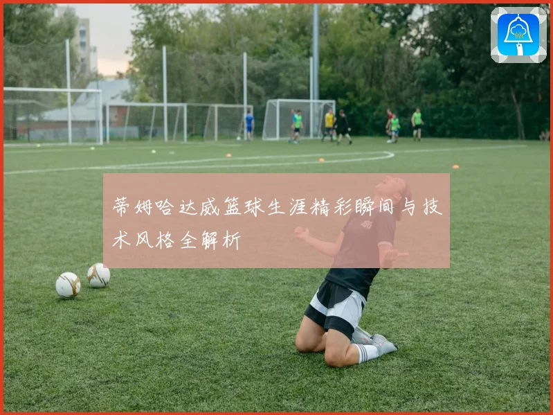 蒂姆哈达威篮球生涯精彩瞬间与技术风格全解析