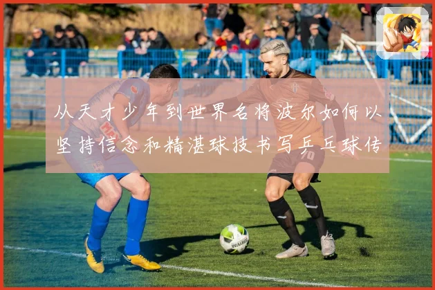 从天才少年到世界名将波尔如何以坚持信念和精湛球技书写乒乓球传奇人解析